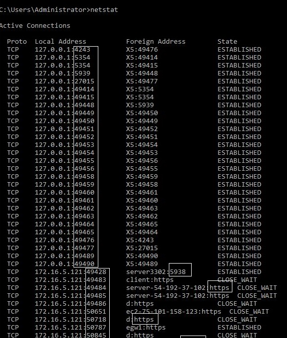 netstat results showing connection ports.