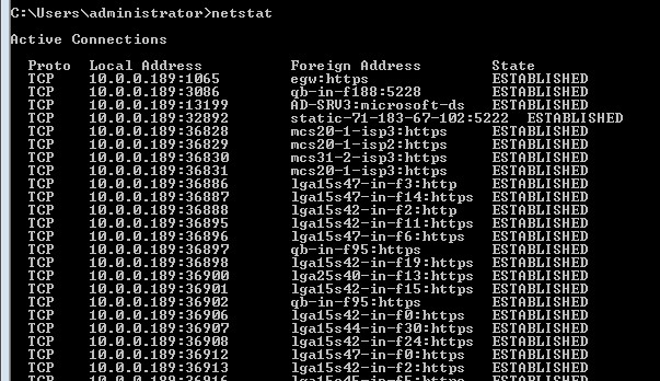 netstat shows established network connections. 